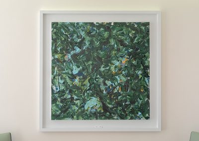 Studio di chirurgia plastica ed estetica M. C.